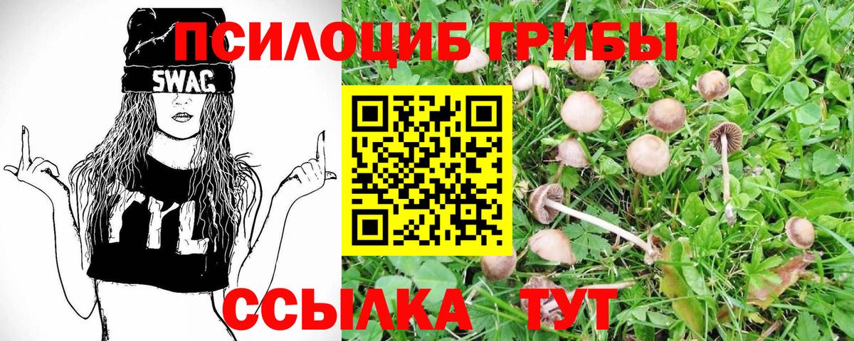 Cocaine  АМФ   МАРИХУАНА  Вход с VPN  Alpha-PVP СК   Клин  ГАШИШ  Меф МЯУ МЯУ кристаллы 